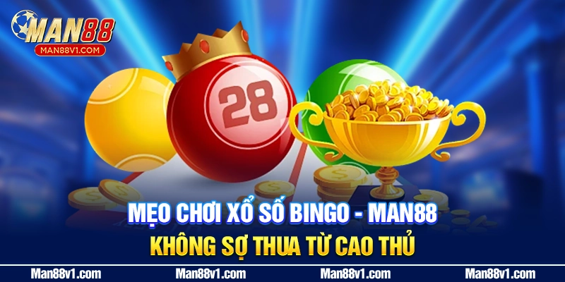 Mẹo chơi xổ số Bingo - MAN88 không sợ thua từ cao thủ